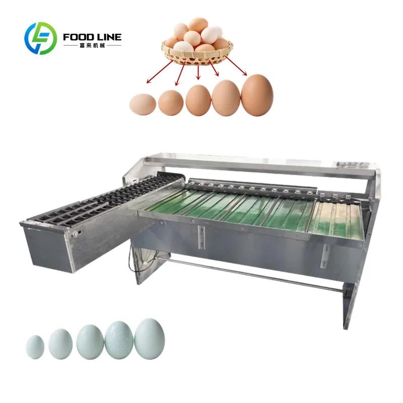 Équipement de pesage et de calibrage commercial robuste sur mesure pour l'agriculture, machine à pes
