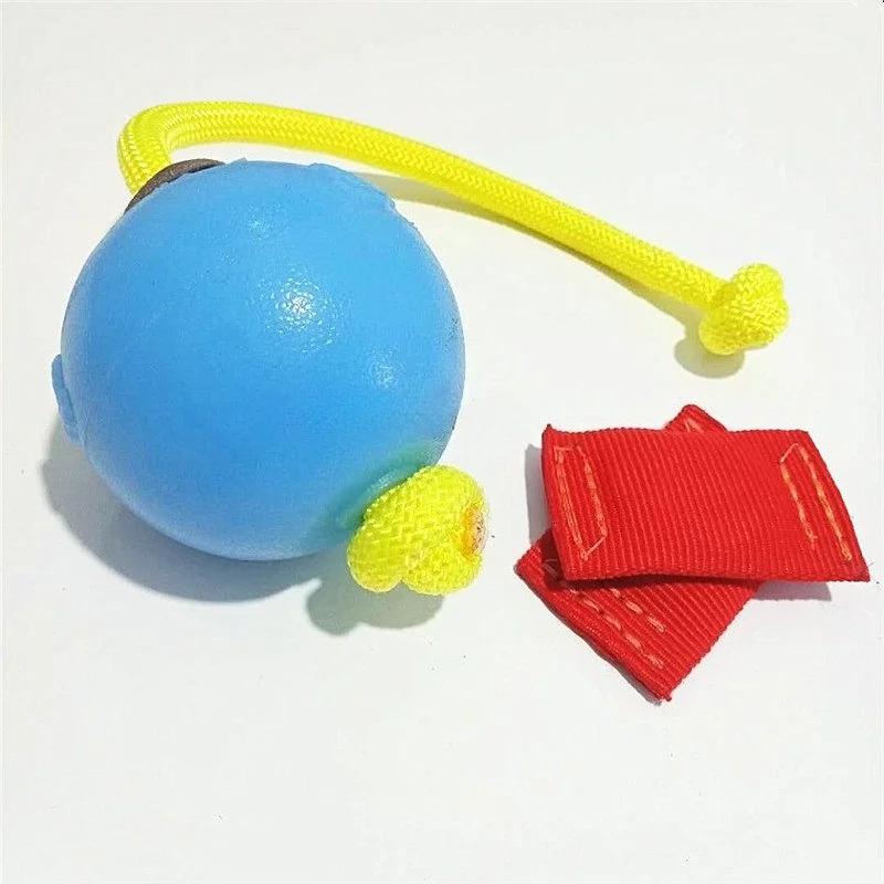 Ballon magnétique d'entraînement pour animaux de compagnie, pour dressage de chiens, entraînement de