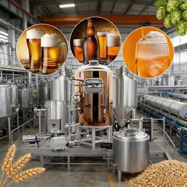 Équipement de brasserie artisanale sur mesure, système de microbrasserie, système de brassage pour l