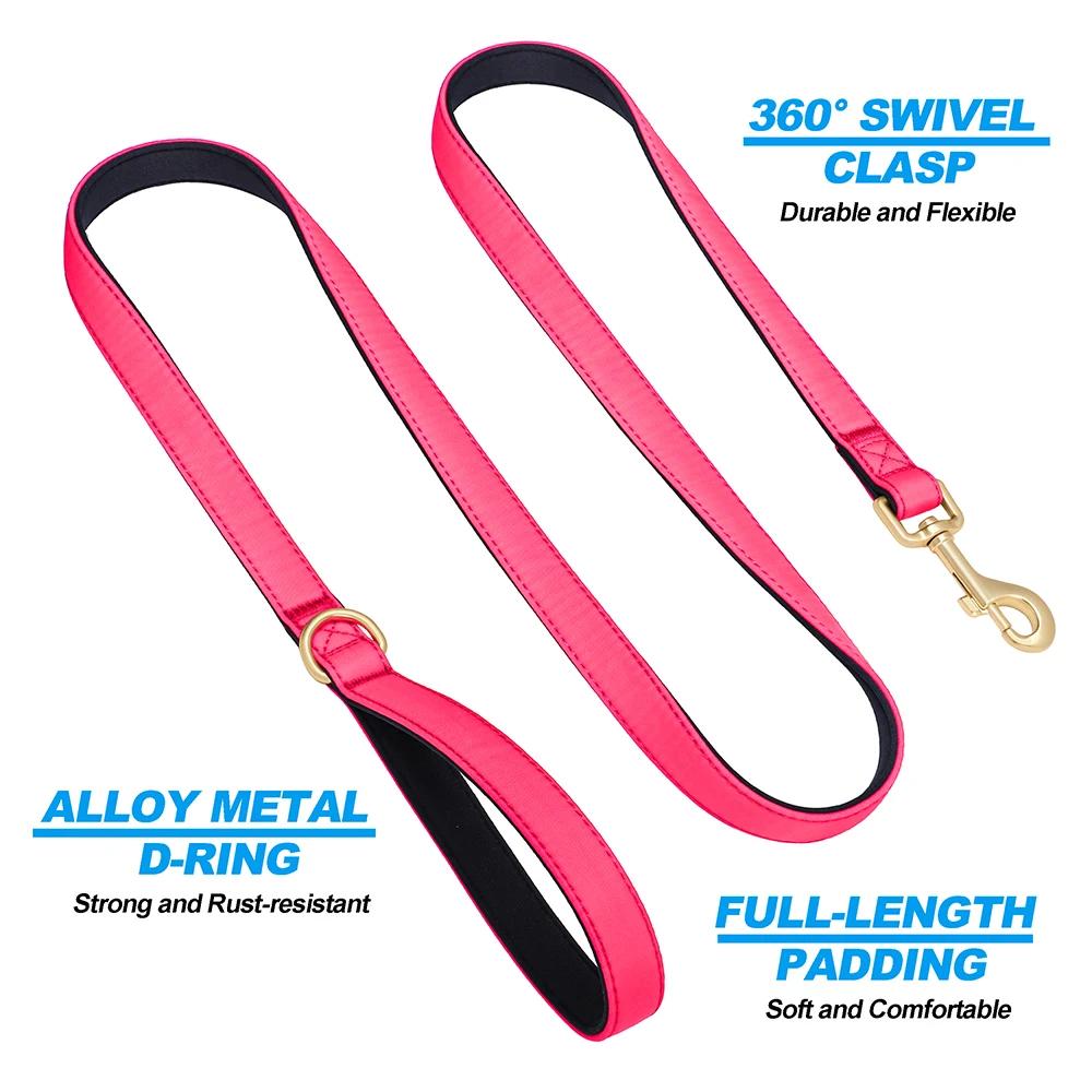 Laisse pour chien, disponible en 8 couleurs, en nylon résistant, idéale pour les promenades, avec un