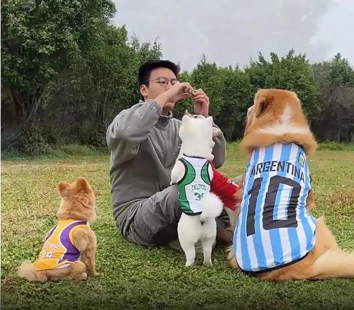 Gilet pour chien pour Jasmine