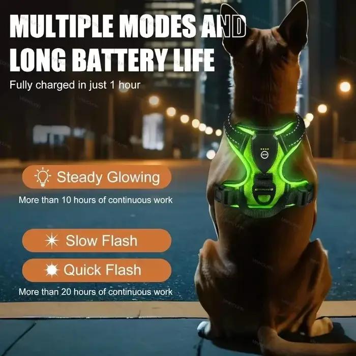 Harnais lumineux LED pour chien avec bandes réfléchissantes, modes d'éclairage multiples, adapté pour toutes les saisons et tous les chiens