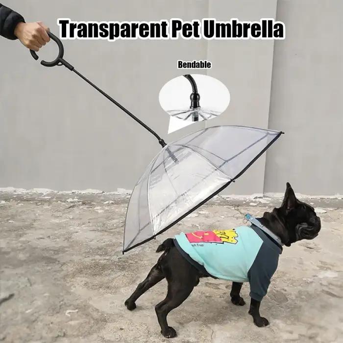 Parapluie transparent pour animaux de compagnie