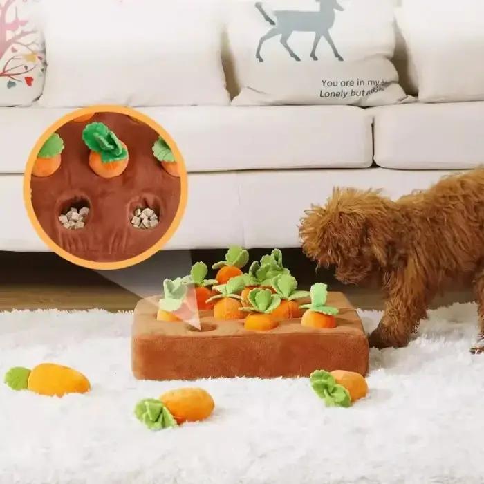 Jouet en peluche carotte pour chien