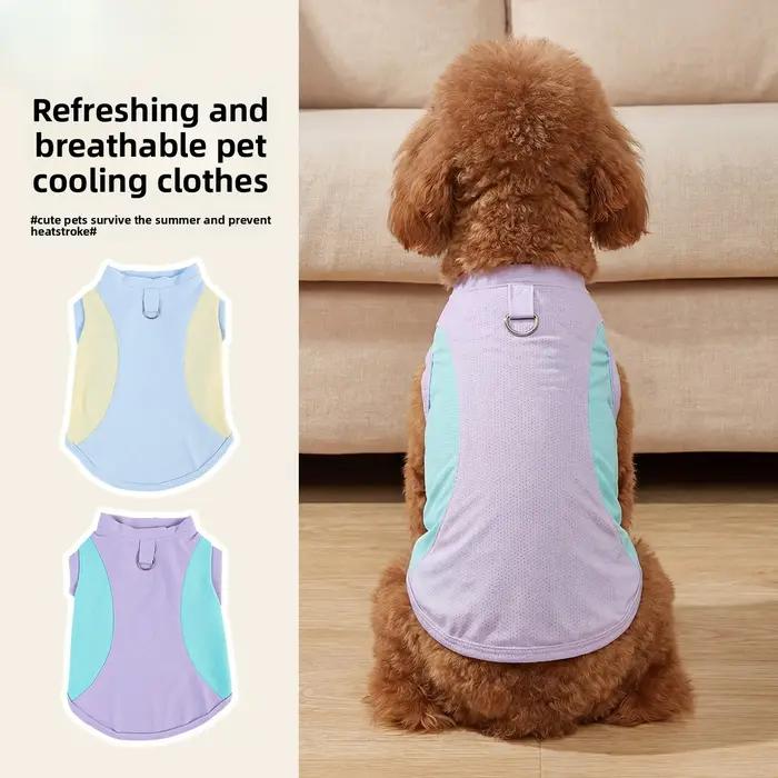 Gilet rafraîchissant pour chien - protection solaire estivale