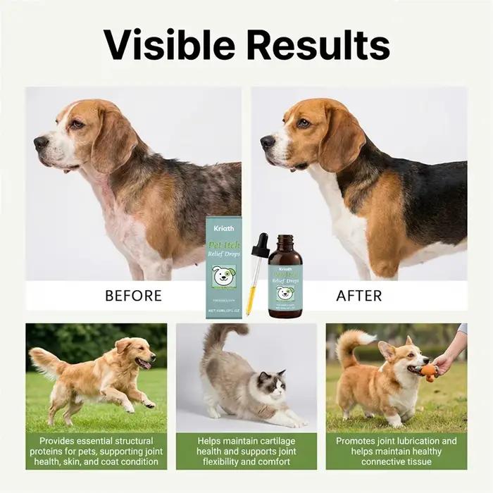 Gouttes de collagène pour chiens et chats pour peau sèche et démangeaisons favorisant un pelage brillant et fort routine de bien-être animalier