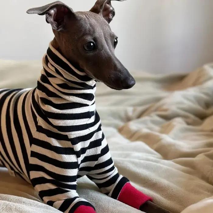 Manteau doux et élégant en coton bébé pour lévriers de printemps à automne noir et blanc pour chiens occasions spéciales