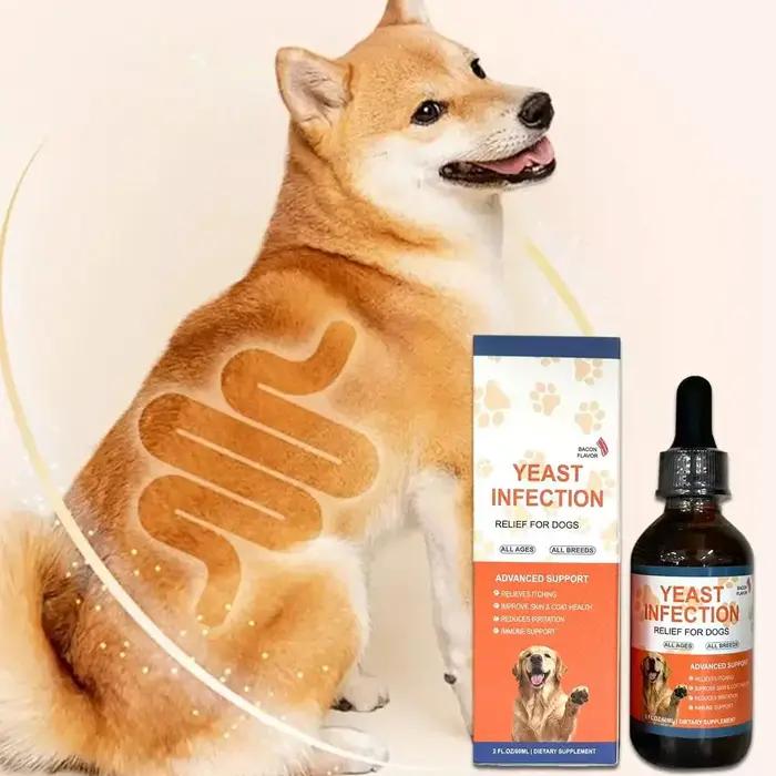 Gouttes de 6 ml pour chiens et chats contre les infections à levures – Complément alimentaire naturel à base de plantes pour soutenir la santé intestinale et le système immunitaire – Facile à administ