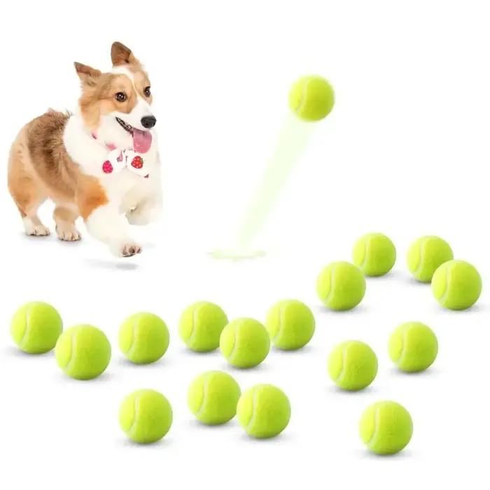 Balles de tennis pour chiens