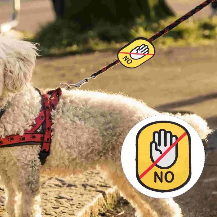 Étiquette d'identification de collier de chiot