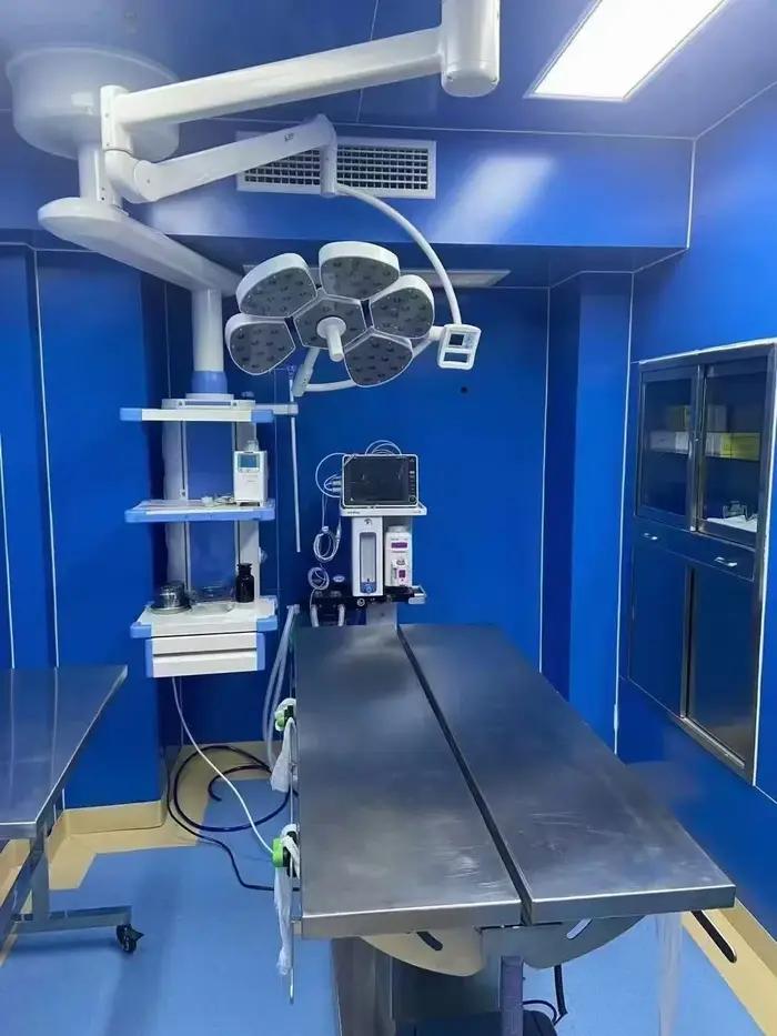 Table animale Table de théâtre chirurgical vétérinaire Table d'opération électrique pour chien vétérinaire