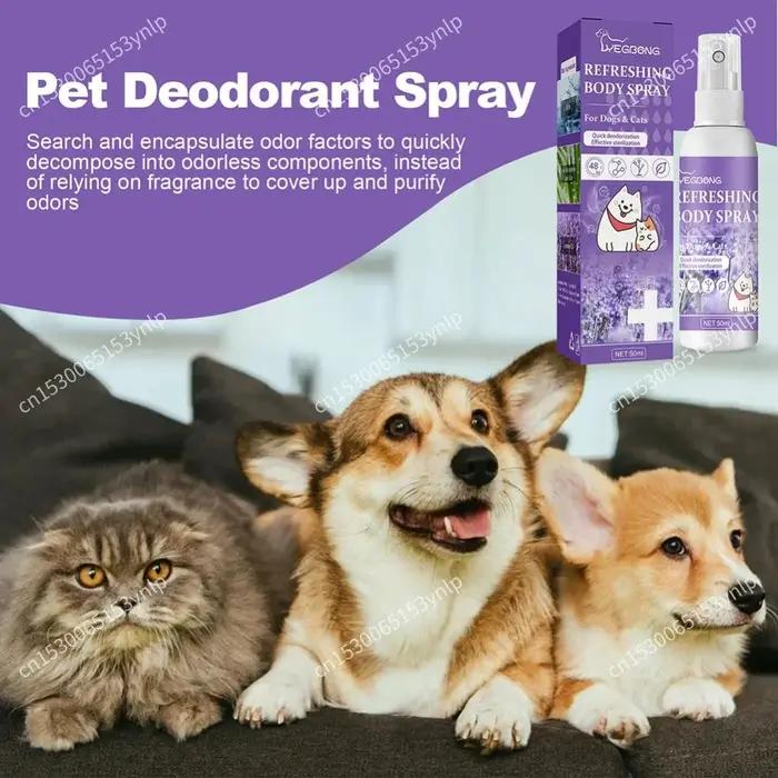 Spray désodorisant pour chien