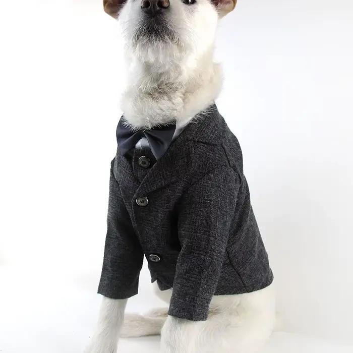 Manteau pour chien taureau français
