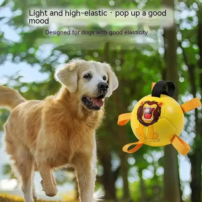 Jouets de Football pour chien, balles durables, Puzzle IQ, jouets pour chiot, petits et grands dents de chien, jouets interactifs de Football pour animaux de compagnie