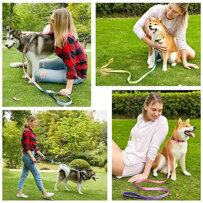 Collier et laisse réglables en nylon pour chien et chat, adaptés aux petits et grands chiens, bouledogues, pugs, beagles