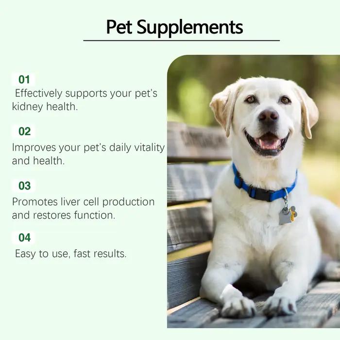 Complément de soin YEGBONG pour santé des reins chez chien et chat améliorant vitalité et énergie naturellement
