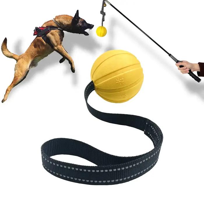 Balles de jouets pour chiens sur une corde pour chiens de petite