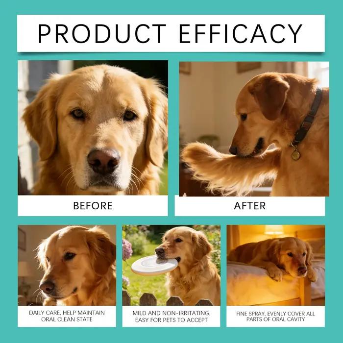 Spray buccal pour animaux de compagnie pour soulager la mauvaise haleine et nettoyer les dents des chiens