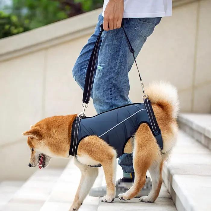 Vêtements auxiliaires pour animaux de compagnie de haute qualité pour chiens handicapés âgés