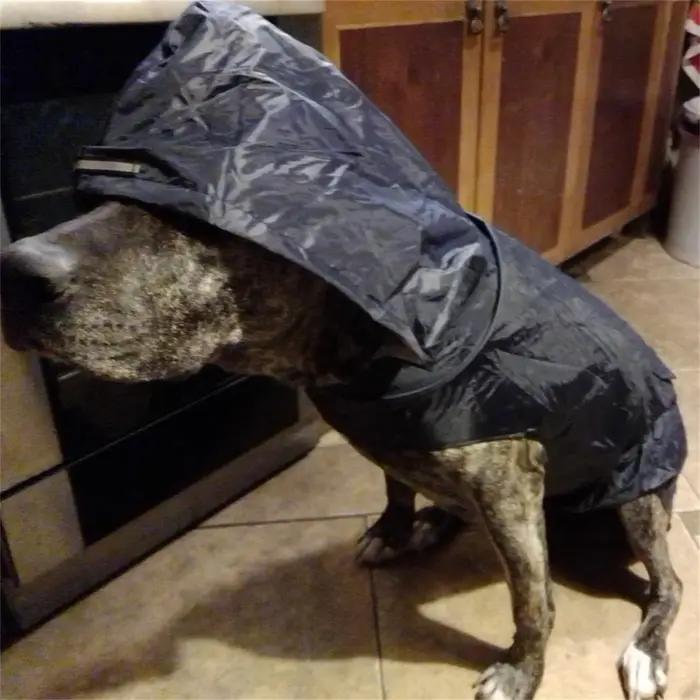 Manteau imperméable réfléchissant pratique pour chien