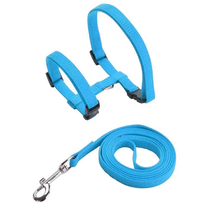 Ensemble harnais et laisse pour chat de compagnie, harnais réglable anti-fuite pour chaton, pour gra