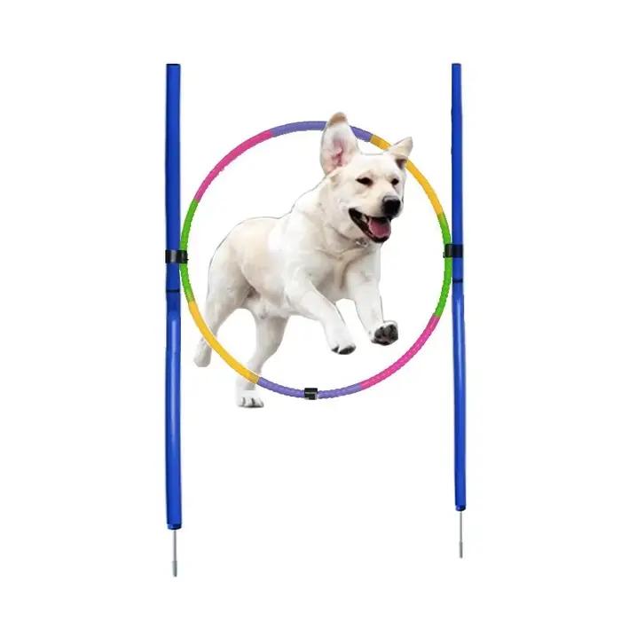 Équipement d'entraînement d'agilité pour chien, outil de saut portable pour chien, jeu de course en