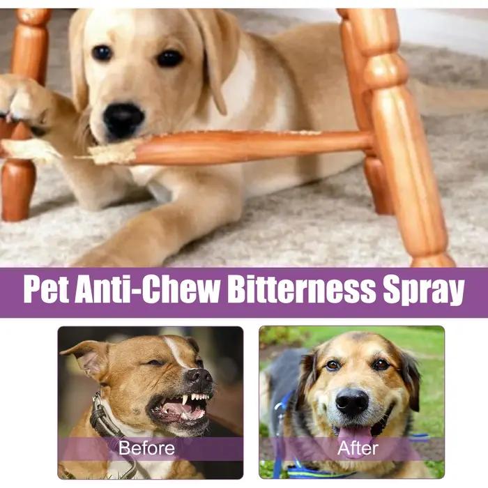 Spray anti-bruit pour animaux de compagnie pour prévenir le stress