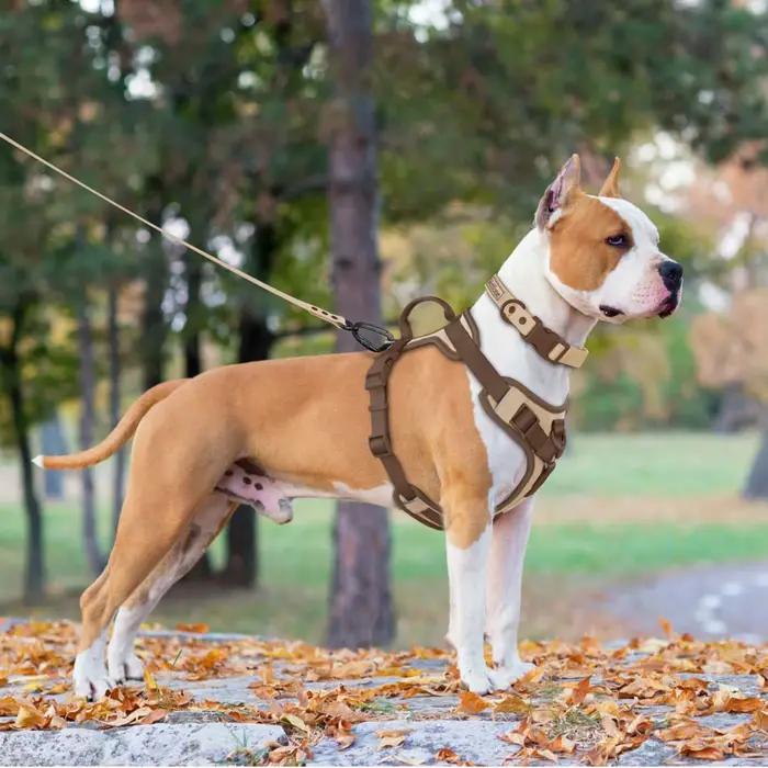 Nouveau Harnais de Luxe pour Chien Couleur Chocolat Anti-Traction pour Grands et Petits Chiens Sangle de Poitrine