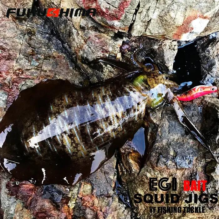 FUKUSHIMA 2-3.5 gabarits d'équilibre EGI leurre pêche au bois grillage BAIT coupe octopères queue br