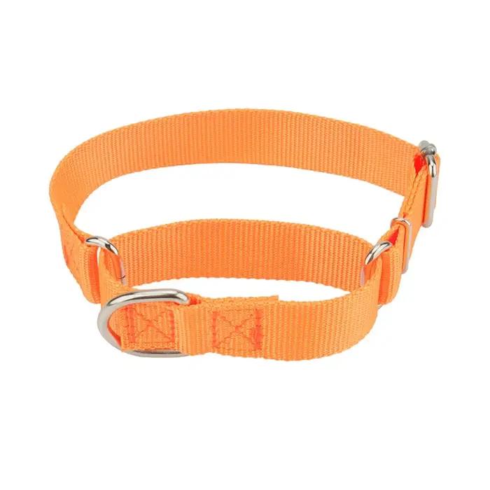 Collier Martingale en Nylon pour Chien avec Boucle en Alliage D, Collier Réglable pour Chiots et Chiens de Toutes Tailles Occasions Spéciales