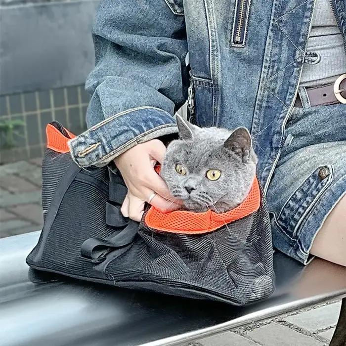 Sac à dos pour chien, sac portable pour petit chien