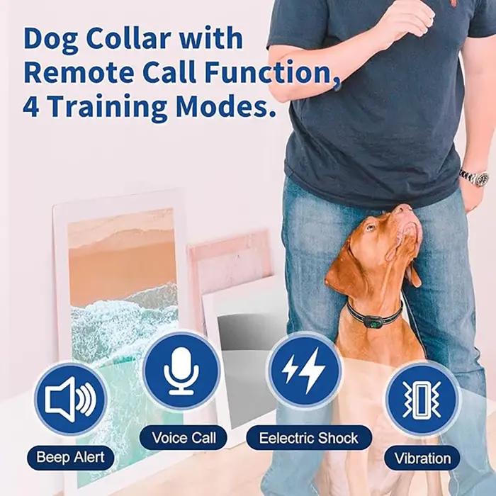 Collier de dressage pour chien