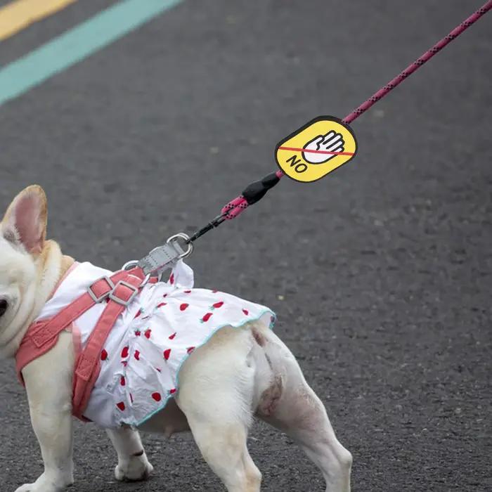Étiquette d'identification de collier de chiot