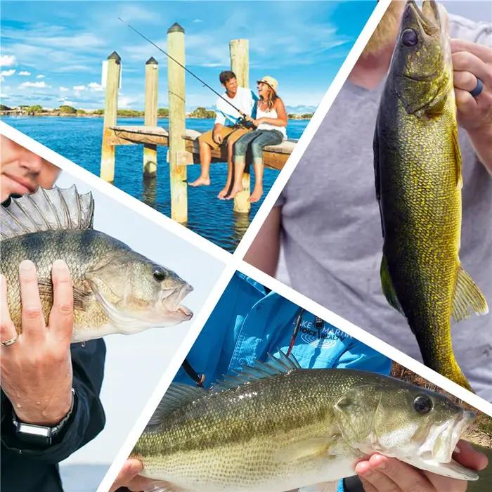 20 pièces 50CM 150LB plombs de pêche eau salée grand jeu fil de pêche en acier ligne de Leader avec