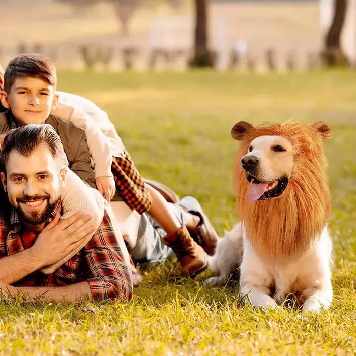 Vêtements de Cosplay pour chiens de compagnie