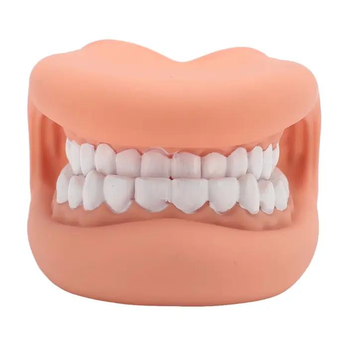 Marionnette buccale en silicone avec 28 dents et langue pour l'enseignement de la parole et de l'hygiène bucco-dentaire pour enfants occasions spéciales