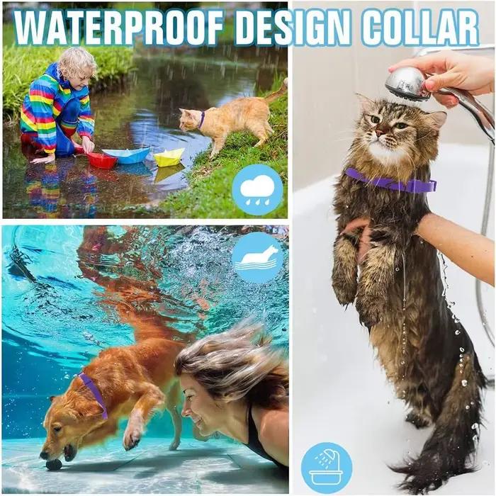 Collier apaisant réglable pour chiens et chats soulageant l'anxiété et réduisant le stress pour tous les âges occasions spéciales et quotidiennes