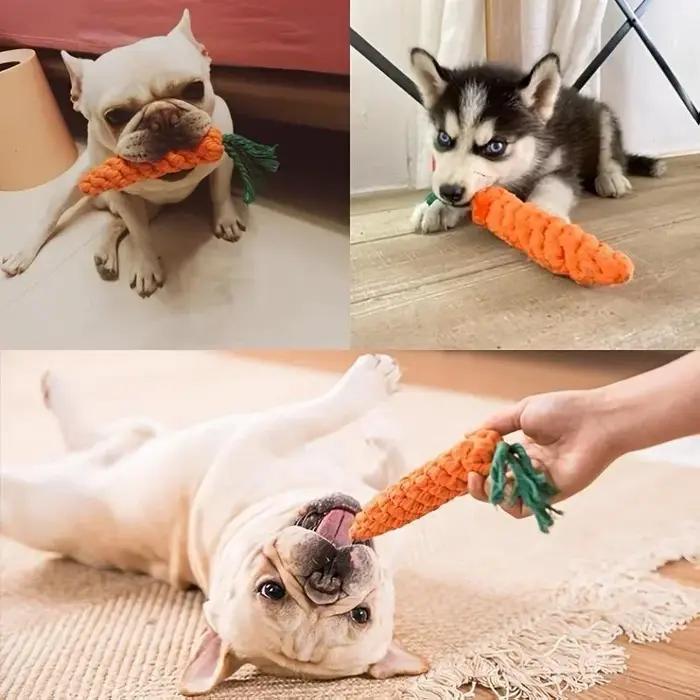 Jouets à nouer pour animaux de compagnie
