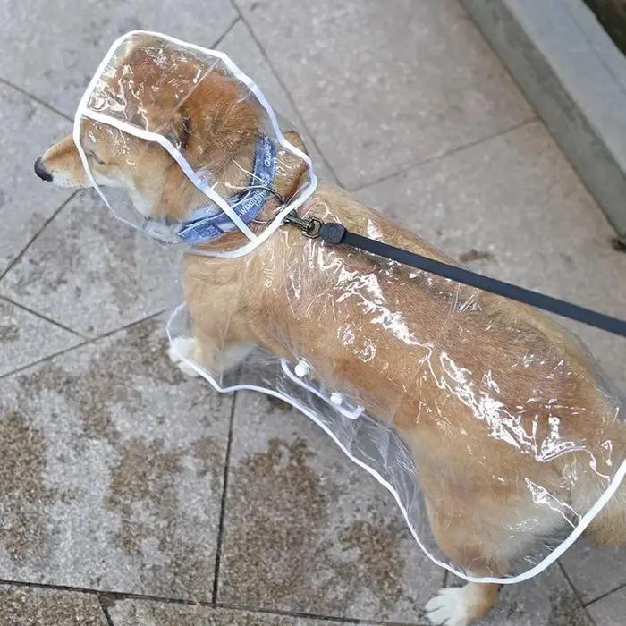  Vêtements de pluie transparents pour animaux de compagnie
