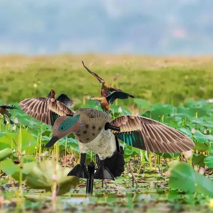 Leurre de canard volant télécommandé avec tête verte réaliste pour chasse au jardin - appât rotatif