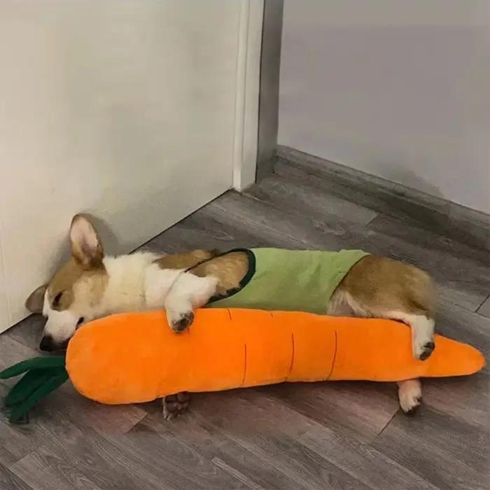Jouet en peluche carotte pour animaux de compagnie