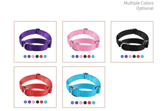 Collier Martingale pour chiens de petite à grande taille, collier d'entraînement réglable en nylon robuste semi-étranglant pour chiens de traction