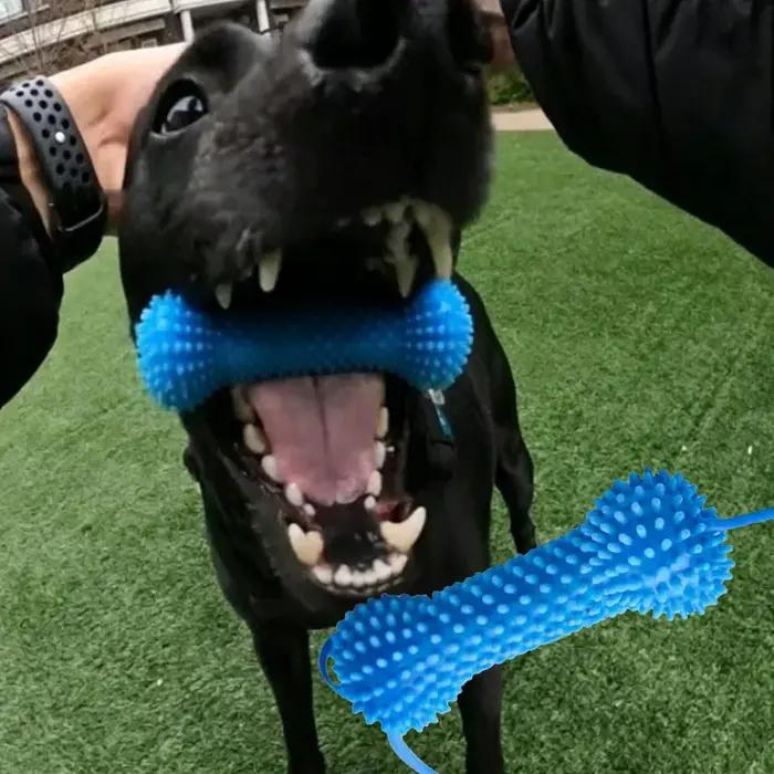 Jouet de brossage dentaire pour chien avec ventouse et corde de traction