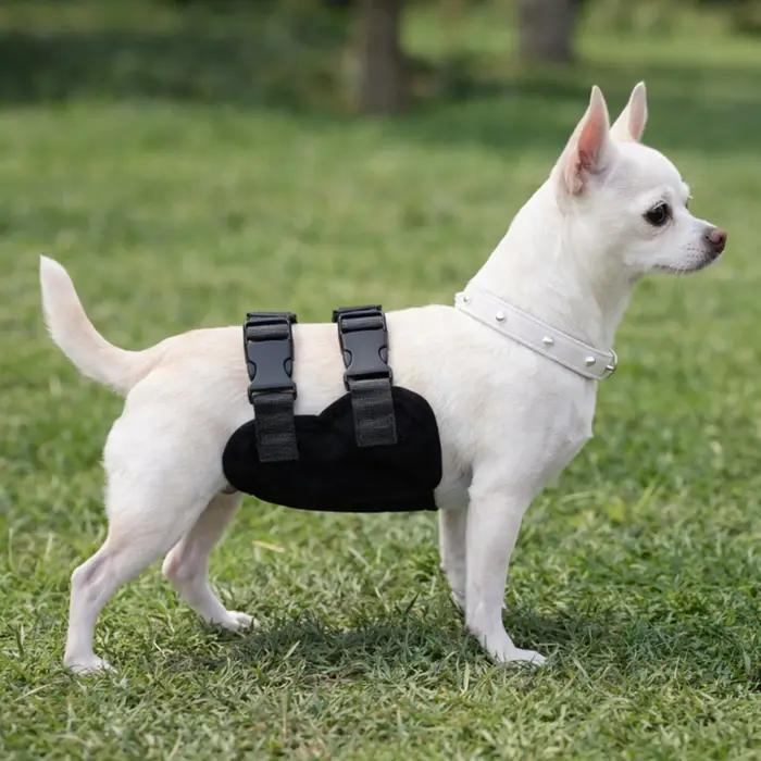 Pantalon Physiologique pour Animaux de Compagnie