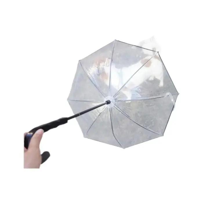 Parapluies détachables transparents pour chien