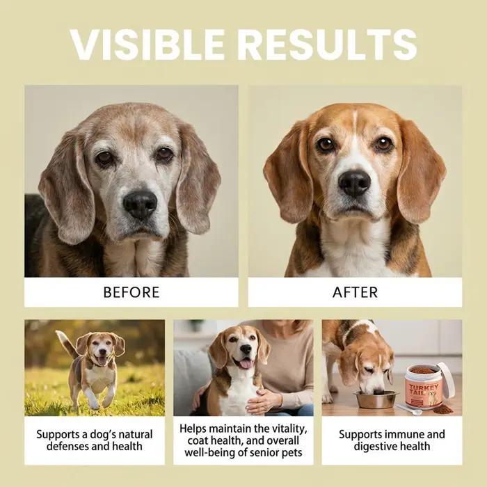 Compléments pour la peau et le pelage des chiens 100g pour soutenir la santé cutanée et favoriser un pelage soyeux pour chiots et chiens seniors