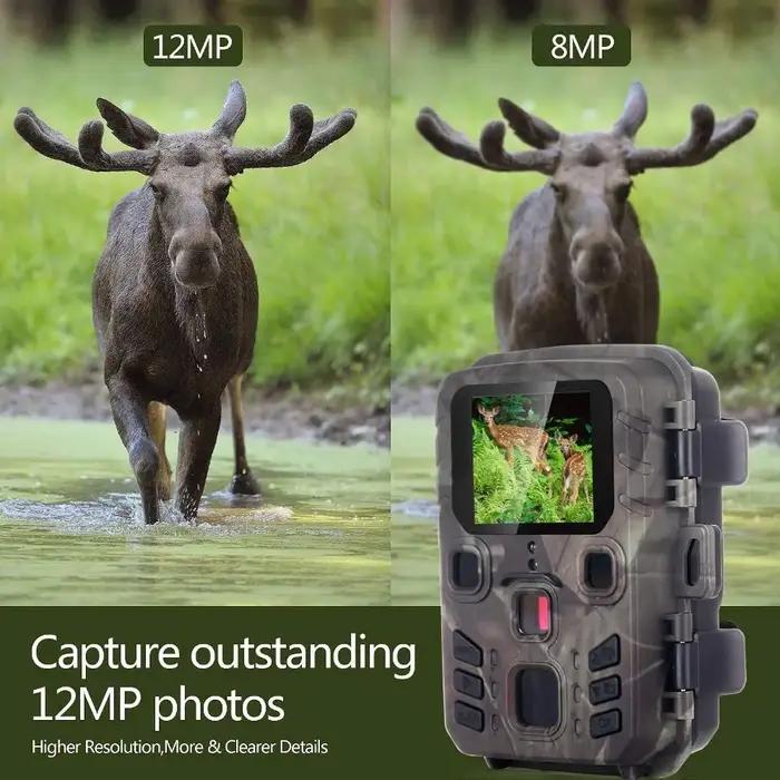 Caméra infrarouge étanche pour la chasse et la surveillance de la faune en plein air avec vision nocturne et résolution 20MP 1080P