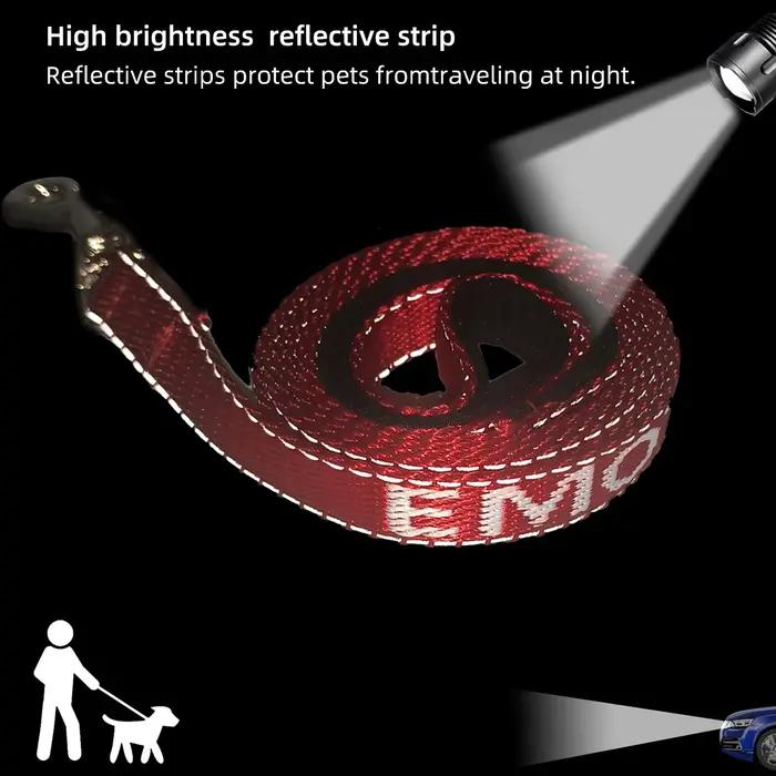 Laisse pour chien rouge