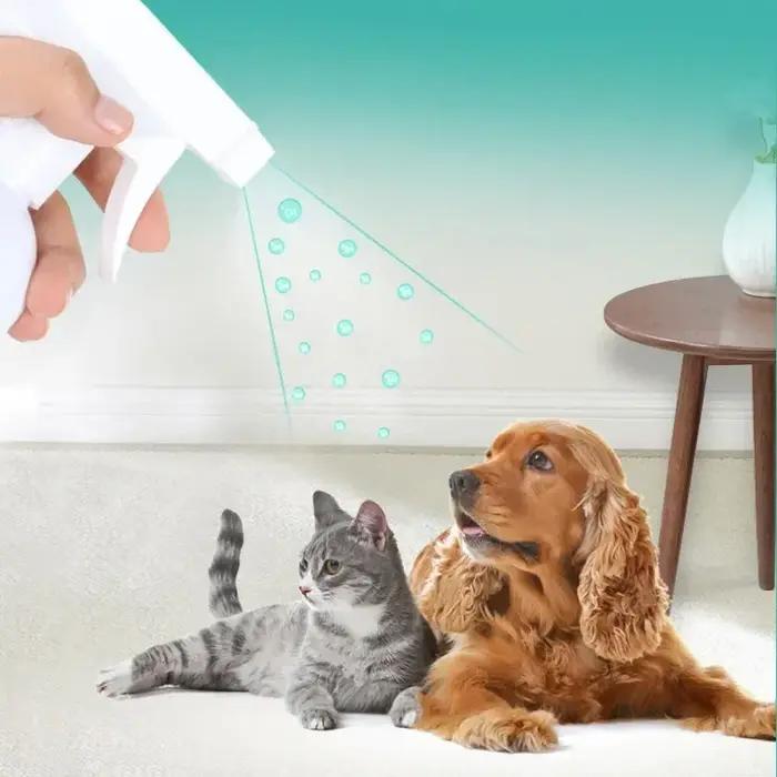 Chat chien Urine animal de compagnie Enzyme biologique déodorant