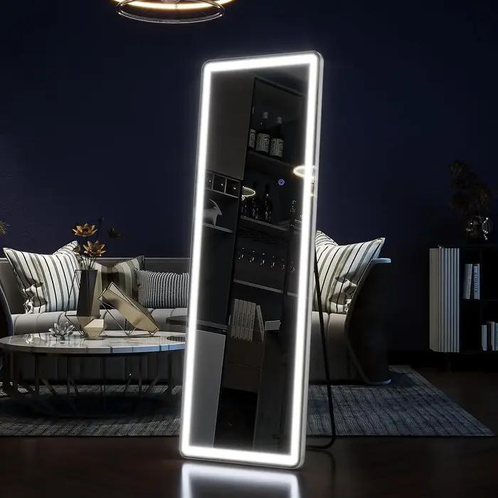 Miroir pleine longueur 63 "x 20" avec lumières